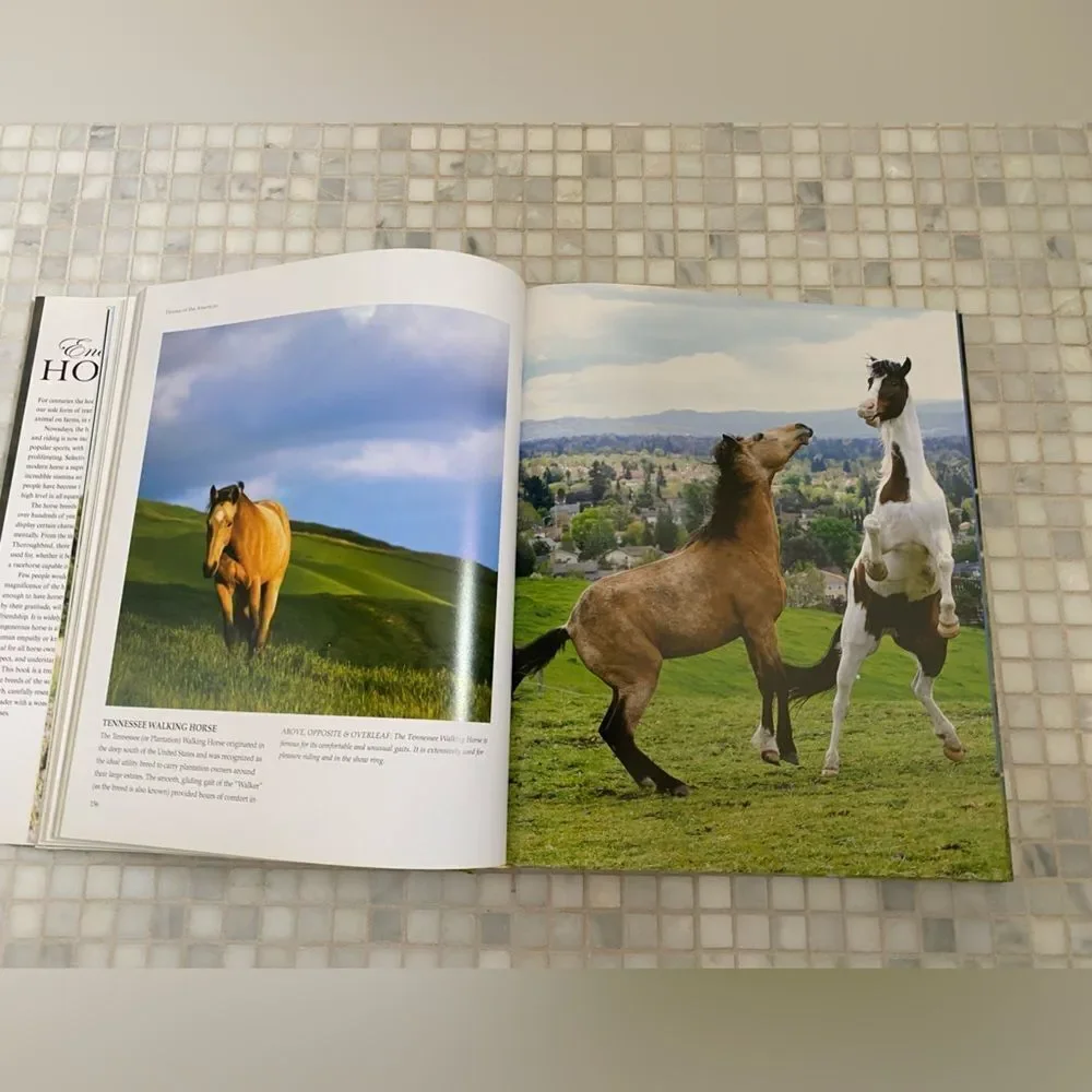 Beautiful Enchanting Horse Full Color Book 450 pages - Picture 6 of 10